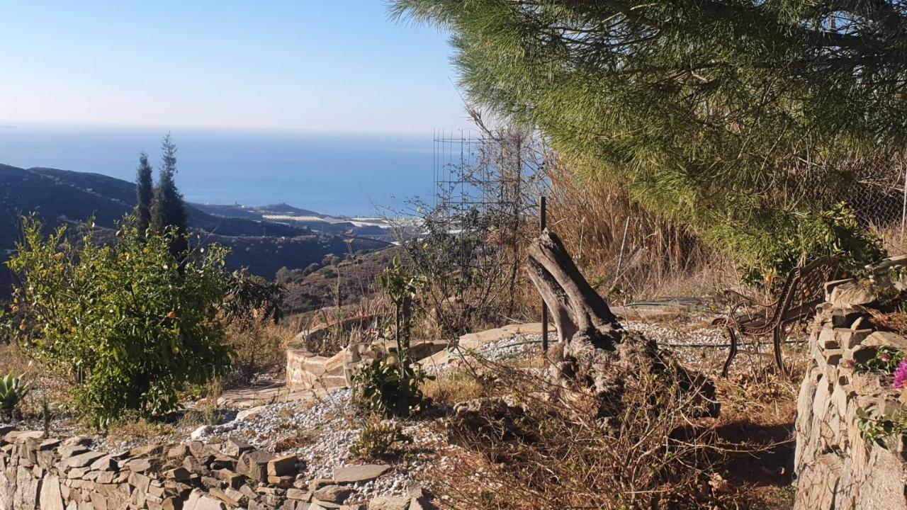 Finca Esperanza Costa Del Sol Sayalonga 外观 照片